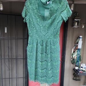 Dolce Vita Green Sheath Midi Dress with Flutter Sleeves